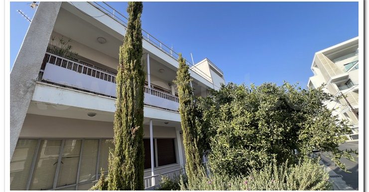 SAVVAS AGATHANGELOU (22)