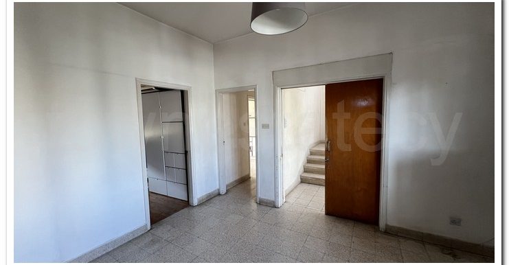 SAVVAS AGATHANGELOU (31)