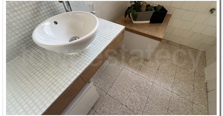 SAVVAS AGATHANGELOU (5)