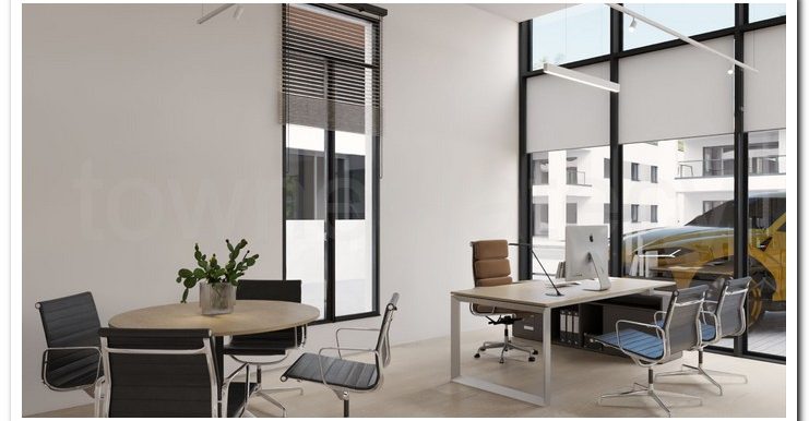 SAVVAS OFFICES EX AIMILIOS ELIADES (10)
