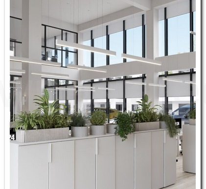 SAVVAS OFFICES EX AIMILIOS ELIADES (11)