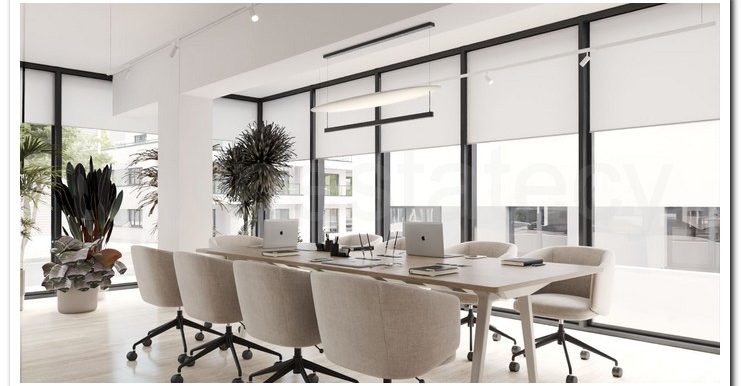 SAVVAS OFFICES EX AIMILIOS ELIADES (15)