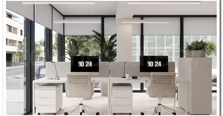 SAVVAS OFFICES EX AIMILIOS ELIADES (16)
