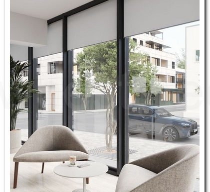 SAVVAS OFFICES EX AIMILIOS ELIADES (17)