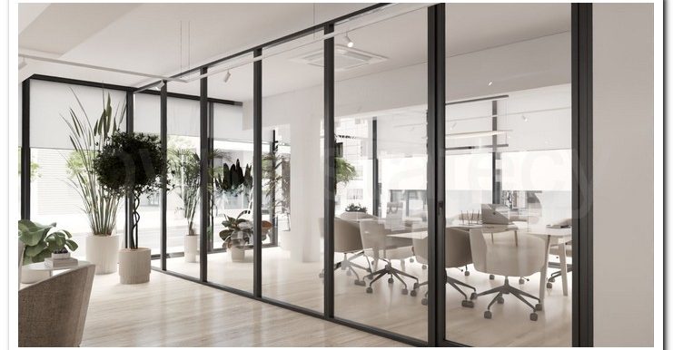 SAVVAS OFFICES EX AIMILIOS ELIADES (2)