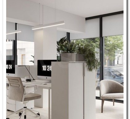 SAVVAS OFFICES EX AIMILIOS ELIADES (21)