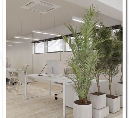 SAVVAS OFFICES EX AIMILIOS ELIADES (23)