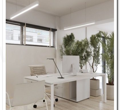 SAVVAS OFFICES EX AIMILIOS ELIADES (3)