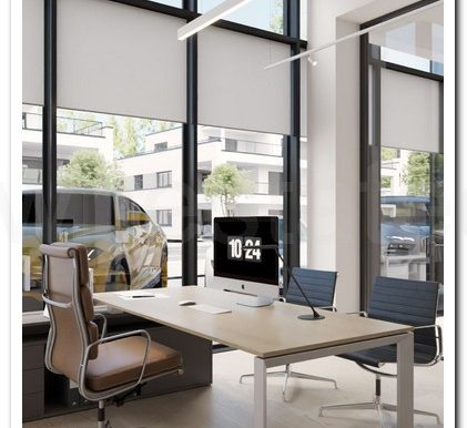 SAVVAS OFFICES EX AIMILIOS ELIADES (34)