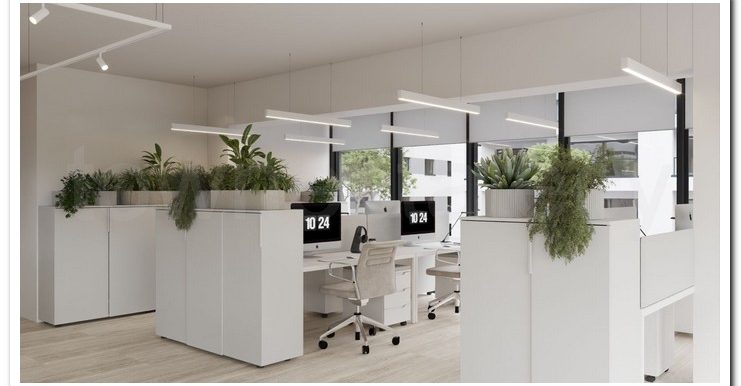 SAVVAS OFFICES EX AIMILIOS ELIADES (4)