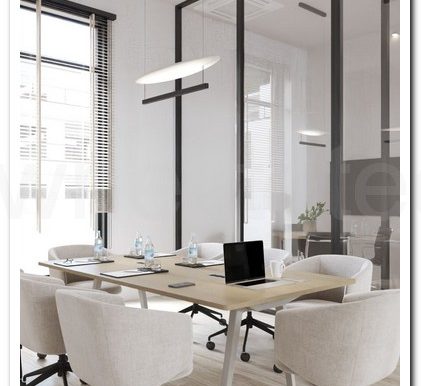 SAVVAS OFFICES EX AIMILIOS ELIADES (6)