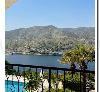 SHAKED DAM (14)