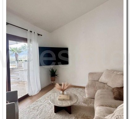 SHAKED DAM (5)
