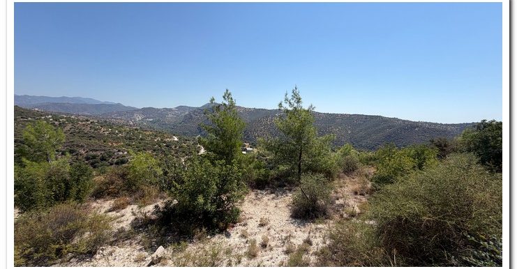 STAVROULLA LAND 6380M2 (1)