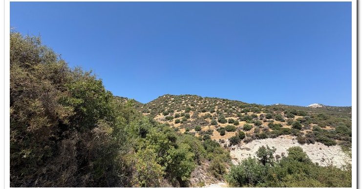 STAVROULLA LAND 6380M2 (11)