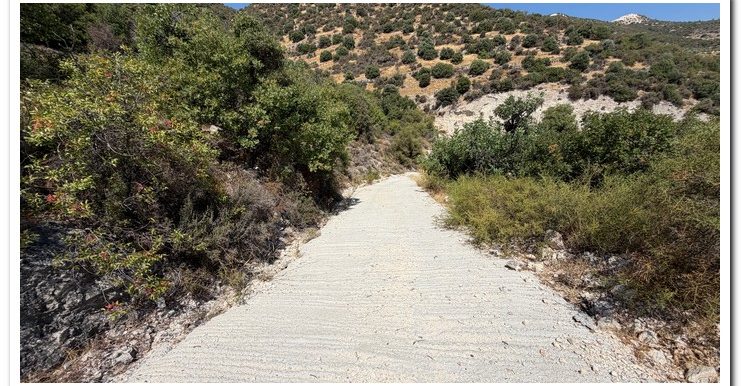 STAVROULLA LAND 6380M2 (12)