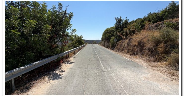 STAVROULLA LAND 6380M2 (13)