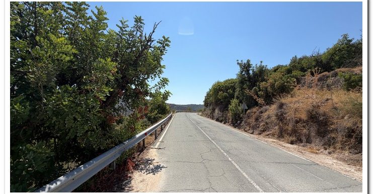 STAVROULLA LAND 6380M2 (16)