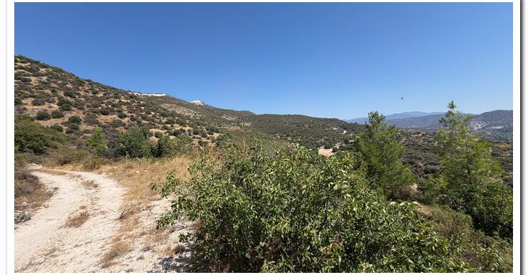 STAVROULLA LAND 6380M2 (18)