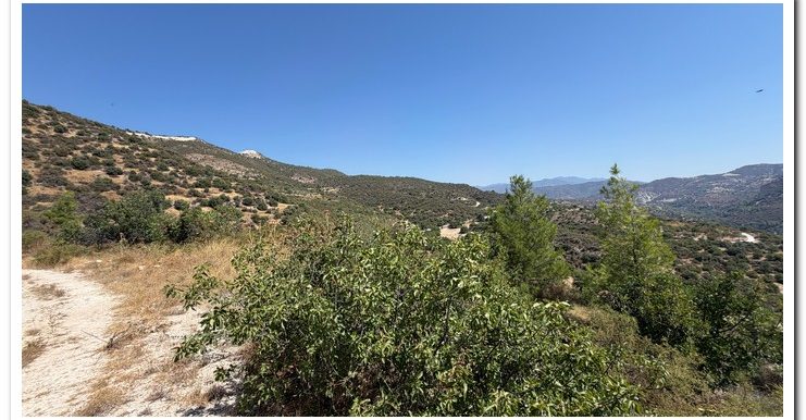 STAVROULLA LAND 6380M2 (19)