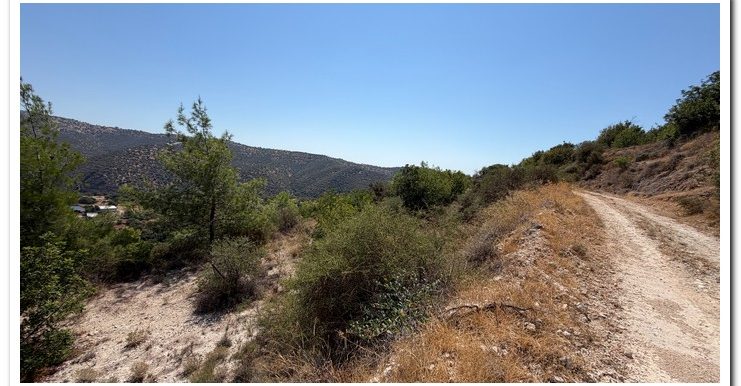 STAVROULLA LAND 6380M2 (2)