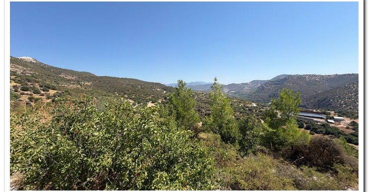 STAVROULLA LAND 6380M2 (20)