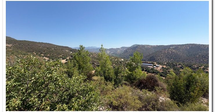 STAVROULLA LAND 6380M2 (21)