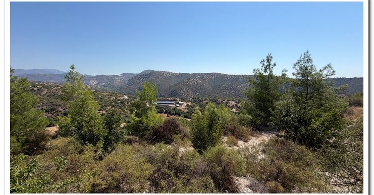 STAVROULLA LAND 6380M2 (22)