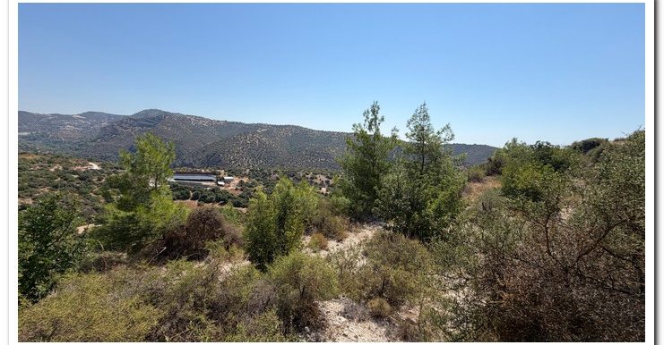 STAVROULLA LAND 6380M2 (23)