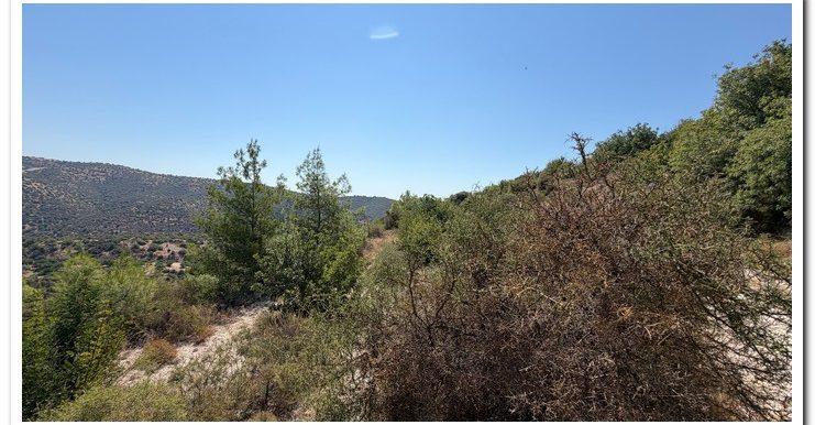 STAVROULLA LAND 6380M2 (24)