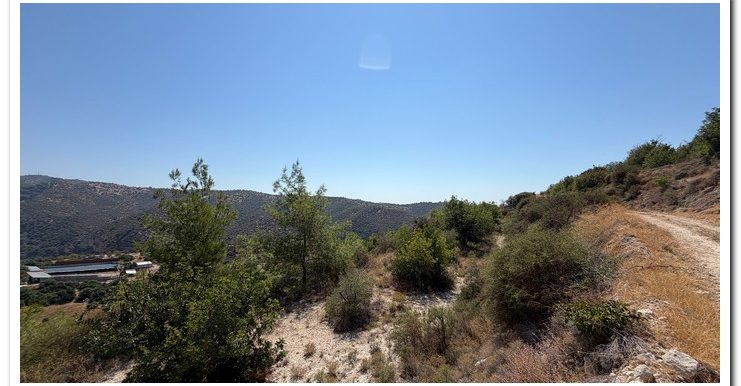 STAVROULLA LAND 6380M2 (25)