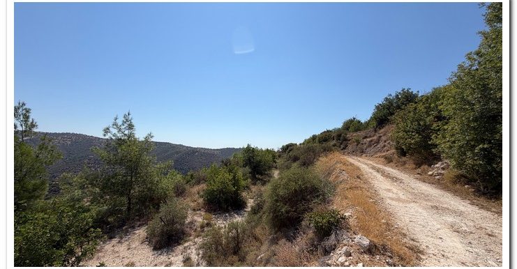 STAVROULLA LAND 6380M2 (26)