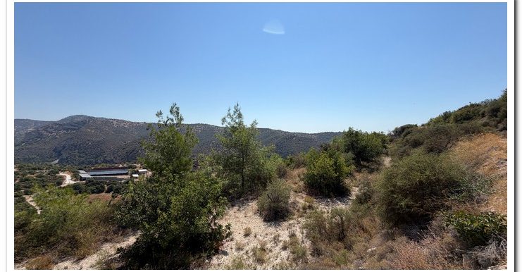 STAVROULLA LAND 6380M2 (27)
