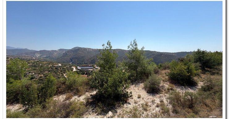 STAVROULLA LAND 6380M2 (28)