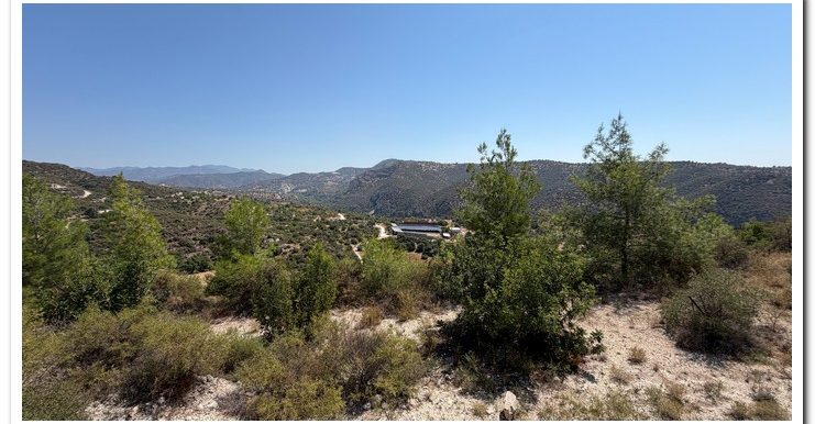 STAVROULLA LAND 6380M2 (29)