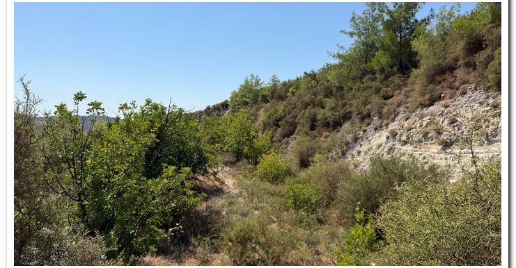 STAVROULLA LAND 6380M2 (3)