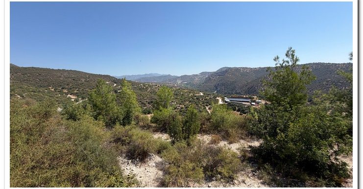 STAVROULLA LAND 6380M2 (30)