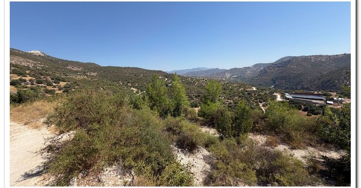 STAVROULLA LAND 6380M2 (31)