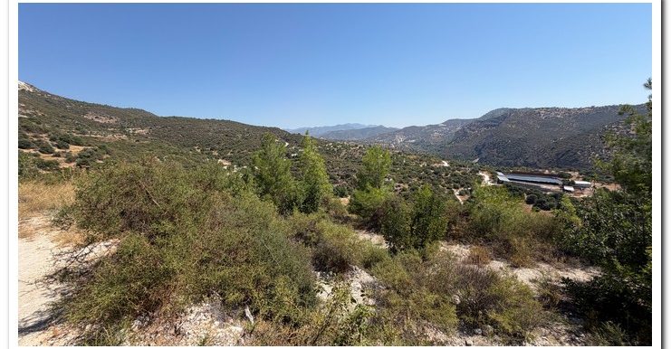 STAVROULLA LAND 6380M2 (32)