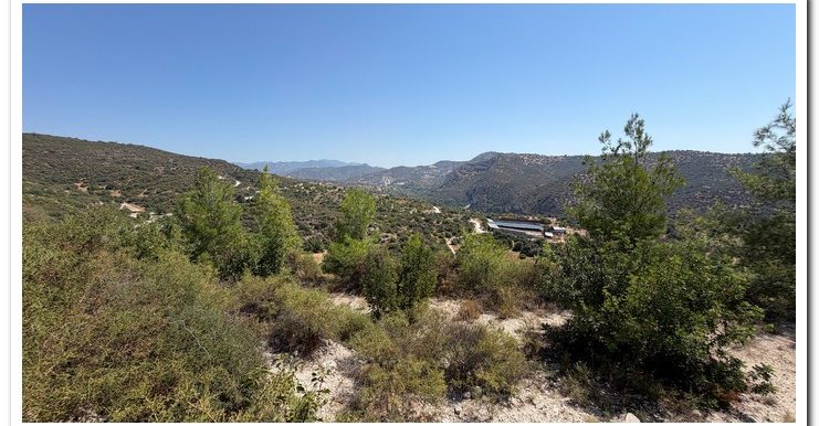 STAVROULLA LAND 6380M2 (33)