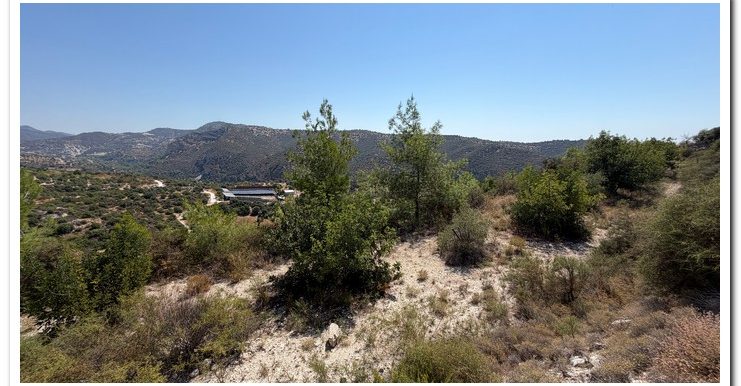 STAVROULLA LAND 6380M2 (34)