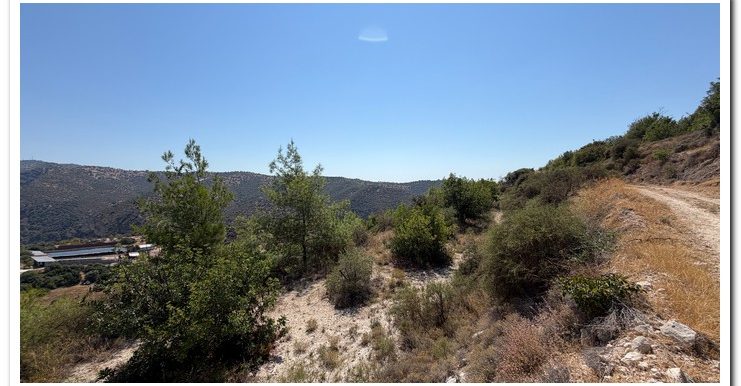 STAVROULLA LAND 6380M2 (35)