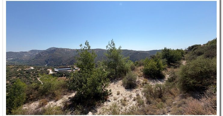 STAVROULLA LAND 6380M2 (36)