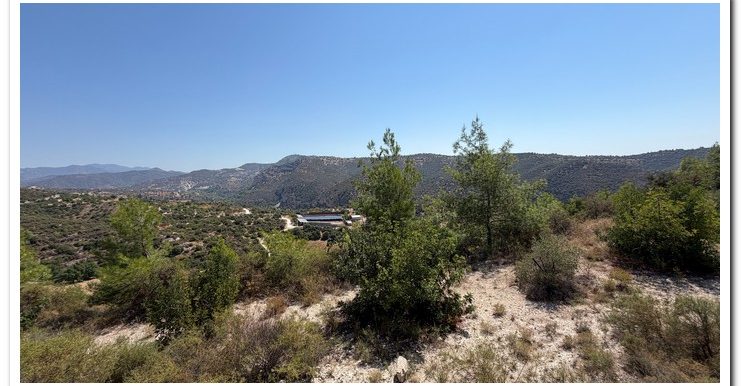 STAVROULLA LAND 6380M2 (37)