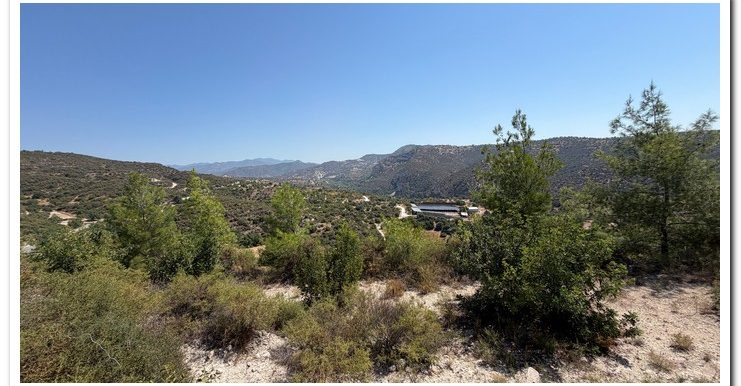 STAVROULLA LAND 6380M2 (38)