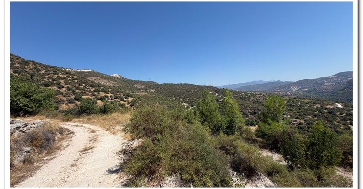 STAVROULLA LAND 6380M2 (39)