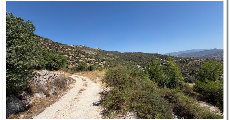STAVROULLA LAND 6380M2 (40)