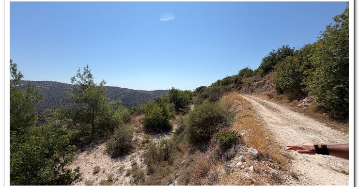 STAVROULLA LAND 6380M2 (41)