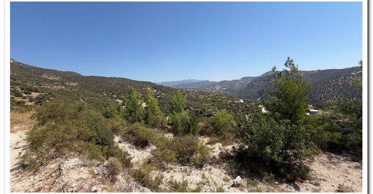 STAVROULLA LAND 6380M2 (42)