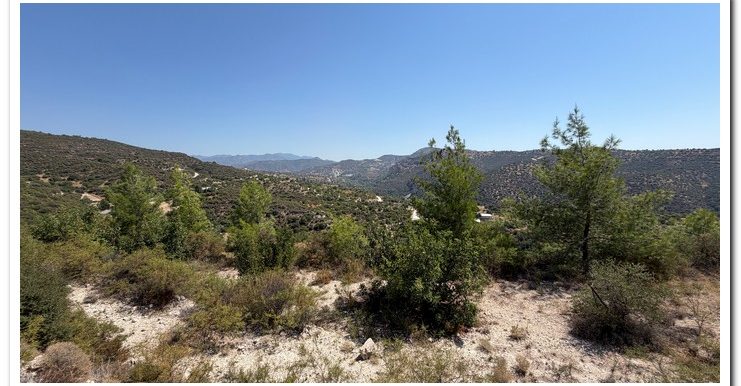 STAVROULLA LAND 6380M2 (43)